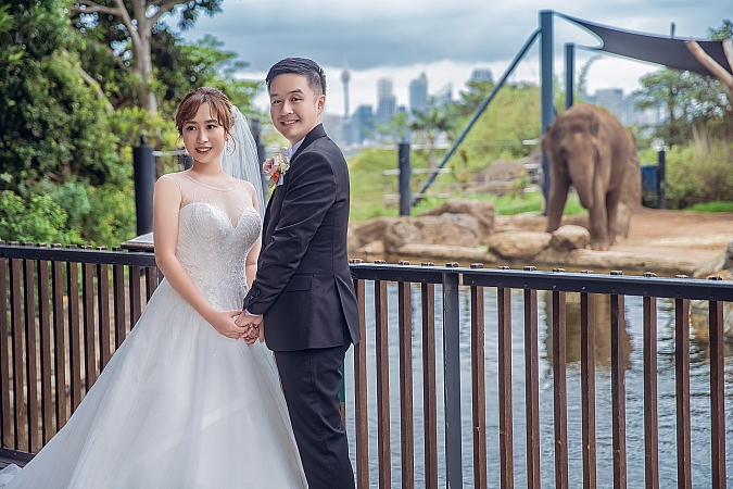 Wedding