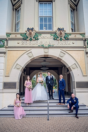 Wedding