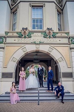 Wedding