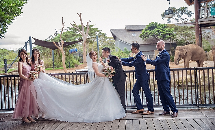 Wedding