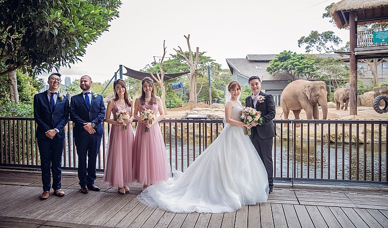 Wedding