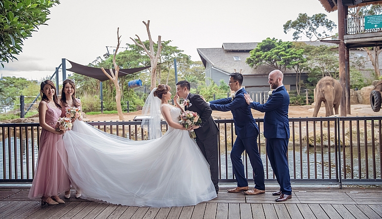 Wedding