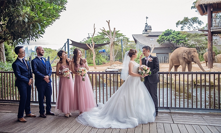 Wedding