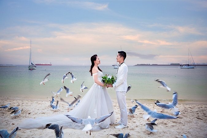 Pre Wedding