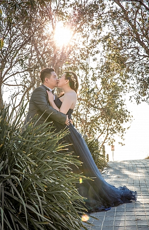 Pre Wedding