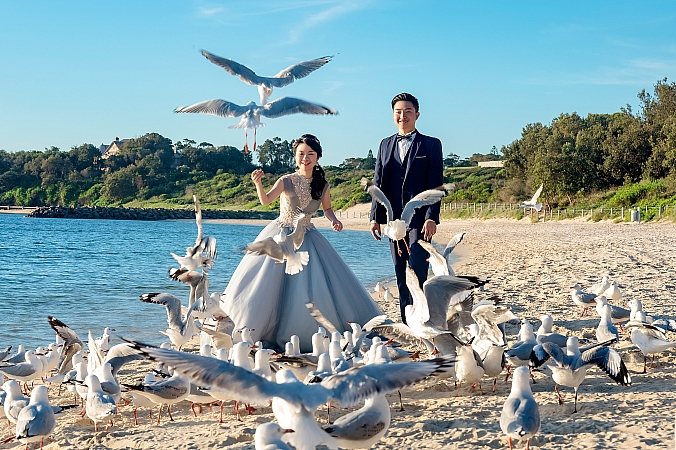 Pre Wedding