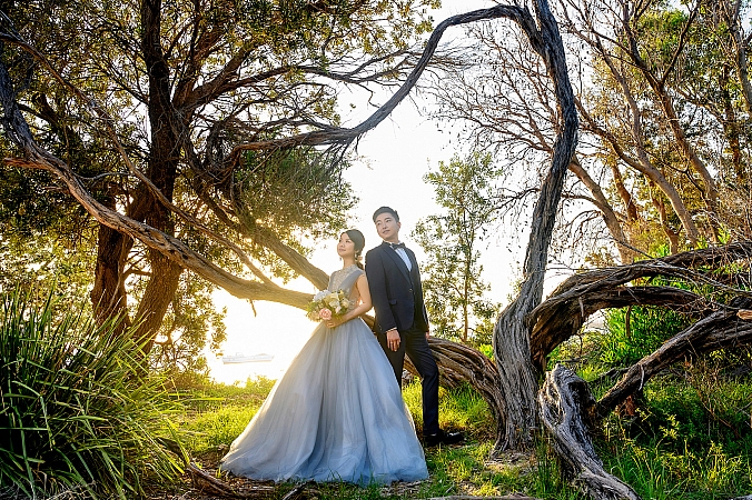 Pre Wedding