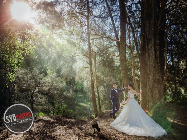 Pre Wedding