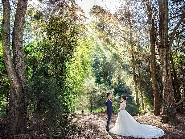 Pre Wedding