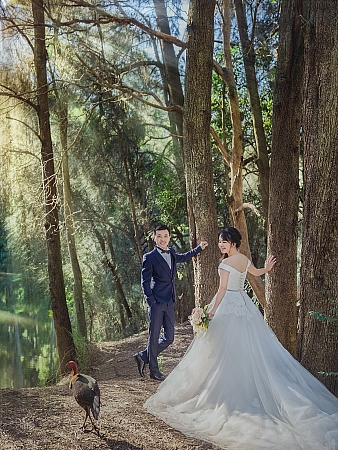 Pre Wedding