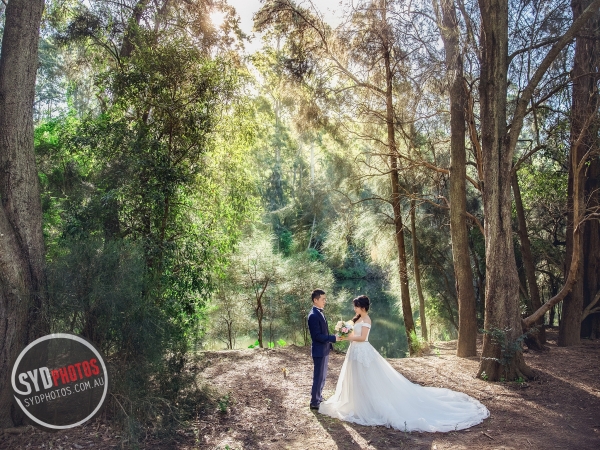 Pre Wedding
