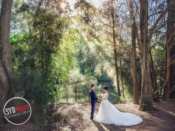 Best Pre Wedding Photography Sydney | Pre Wedding Photoshoot Sydney