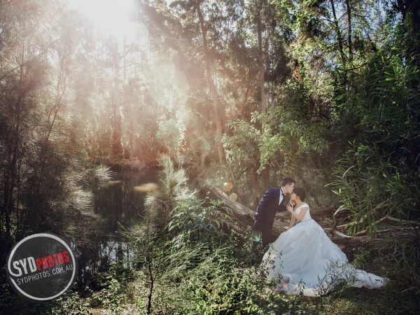 Pre Wedding