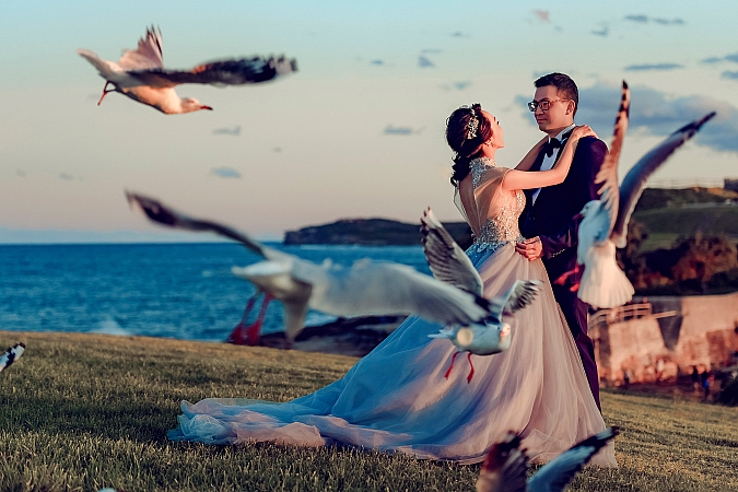 Pre Wedding