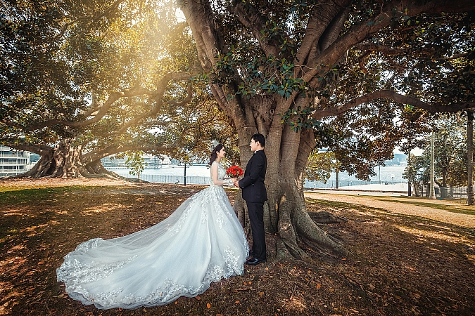 Pre Wedding