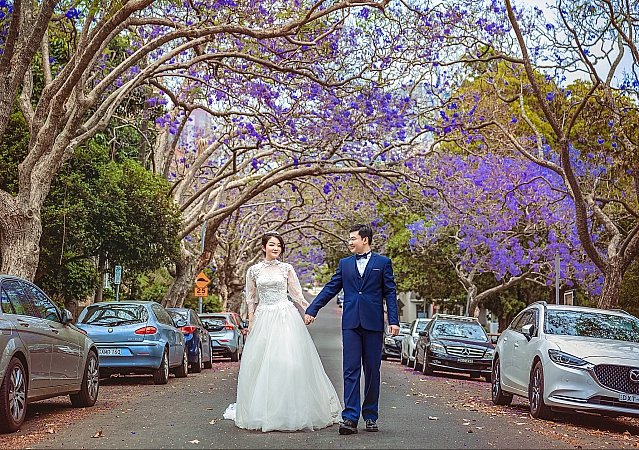 Pre Wedding