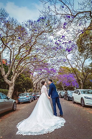 Pre Wedding