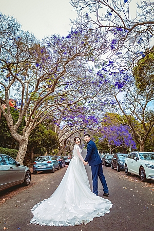 Pre Wedding