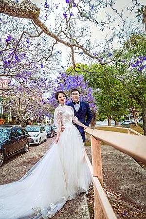 Pre Wedding
