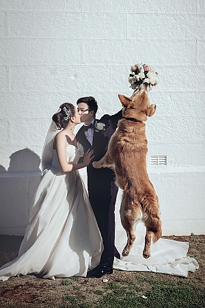 Wedding Planning