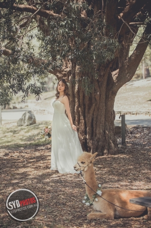 Best Pre Wedding Photography Sydney | Pre Wedding Photoshoot Sydney