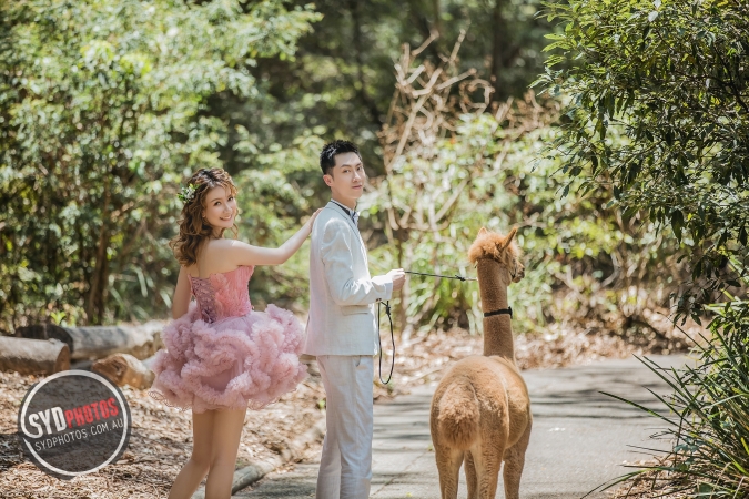 Best Pre Wedding Photography Sydney | Pre Wedding Photoshoot Sydney