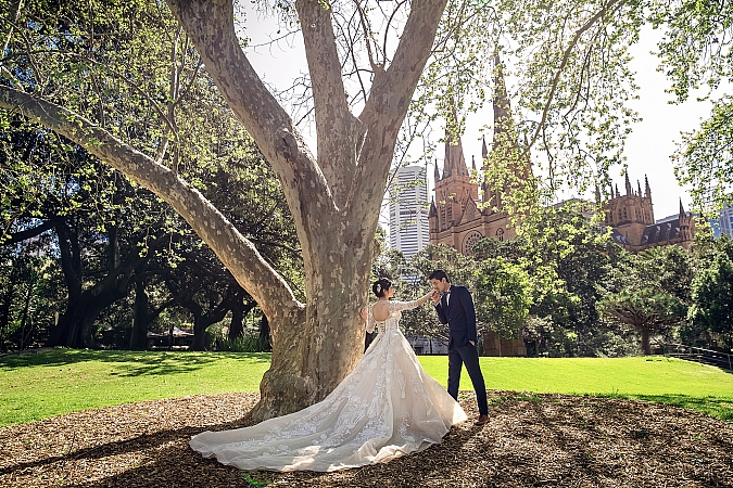 Pre Wedding