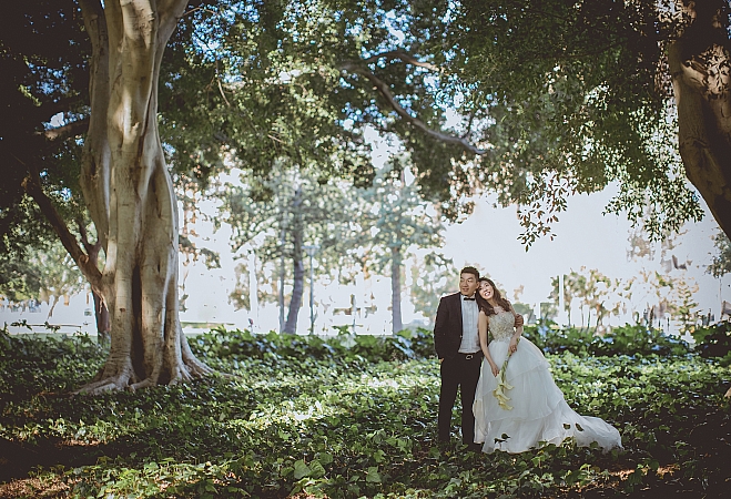 Pre Wedding