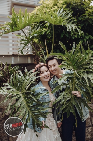 Pre Wedding