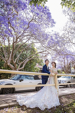 Pre Wedding