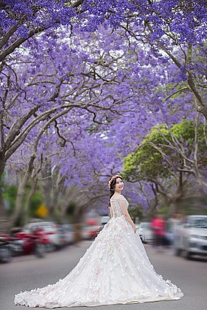 Pre Wedding