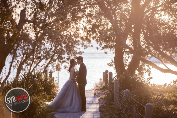 Pre Wedding