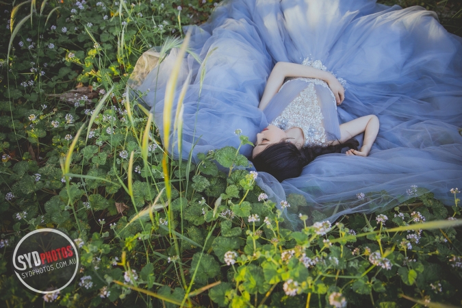 Pre Wedding