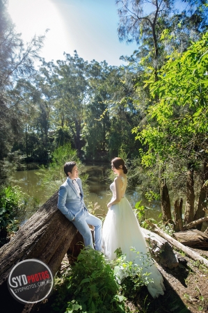 Pre Wedding