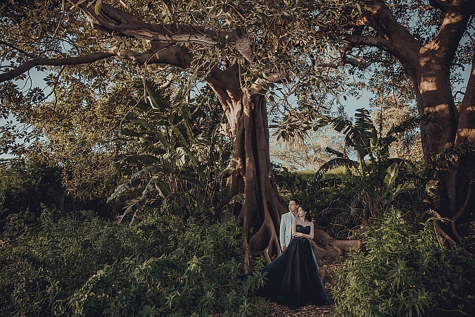 Pre Wedding