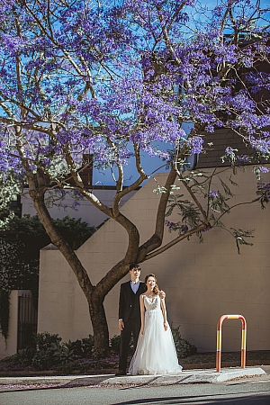 Pre Wedding