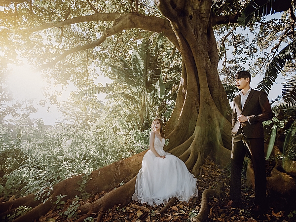 Pre Wedding