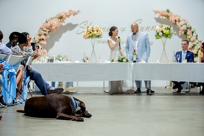 Wedding