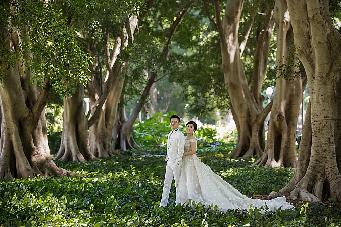 Pre Wedding