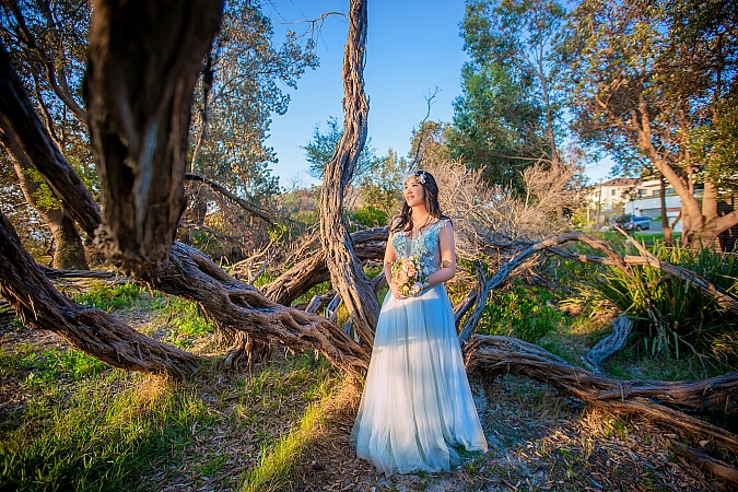 Pre Wedding
