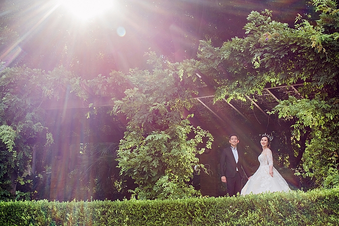 Pre Wedding