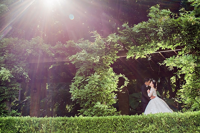 Pre Wedding