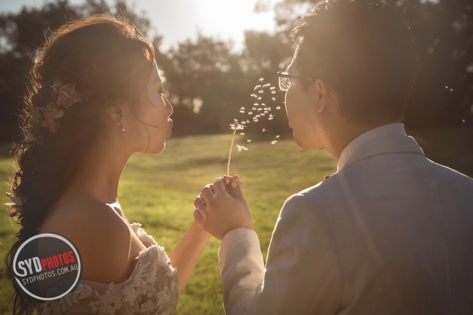 Pre Wedding