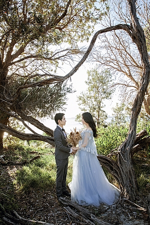 Pre Wedding