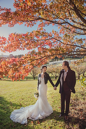 Pre Wedding