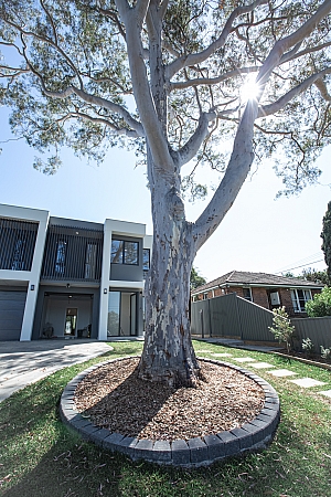 RealEstate Photography