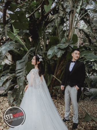 Pre Wedding