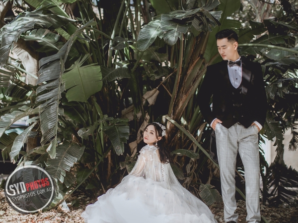Pre Wedding