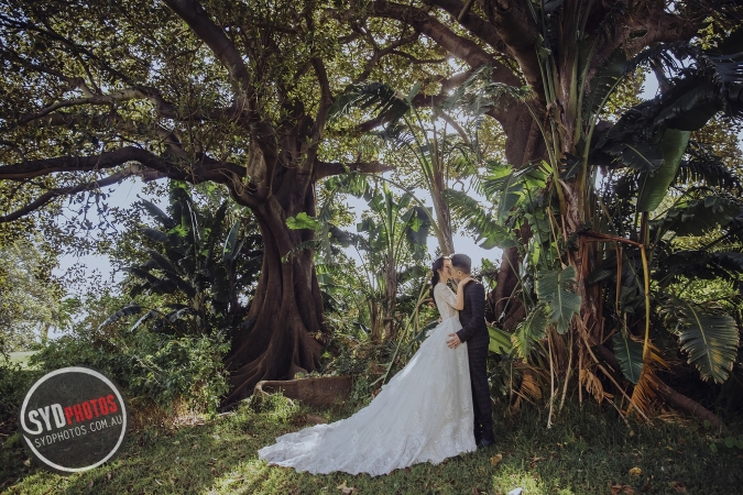 Pre Wedding
