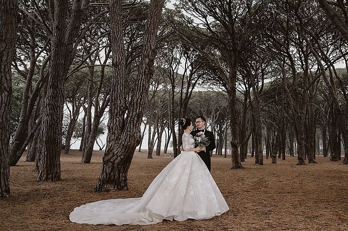 Pre Wedding